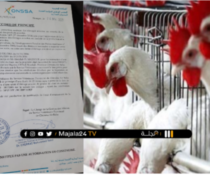 بيان توضيحي بخصوص مشروع انتاج الدواجين بسيدي بوسحاب