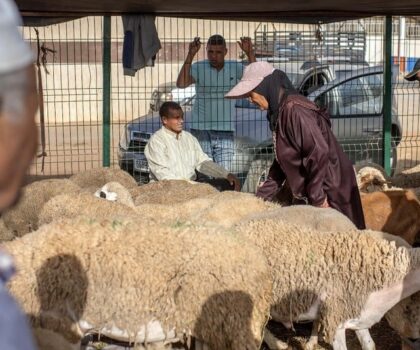 عيد الأضحى .. العرض يفوق الطلب و7.8 ملايين رأس من الغنم موجهة للذبح