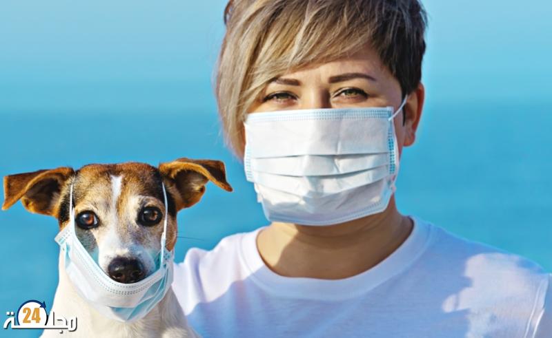 ما هي الأمراض التي تنتقل من الطيور والحيوانات إلى الإنسان؟