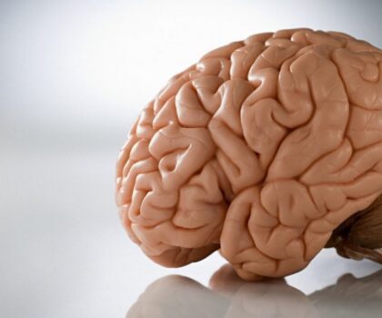 نصائح للحفاظ على “شباب دماغك”!