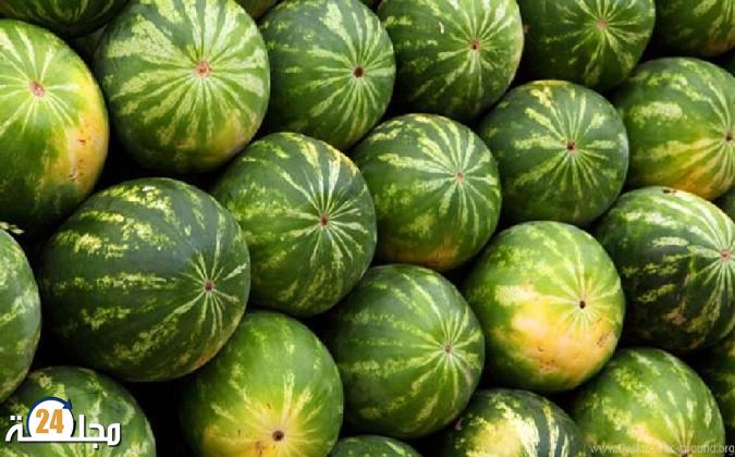 توضيح “اونسا” حول وجود “مادة خطيرة” في “الدلاح” المغربي