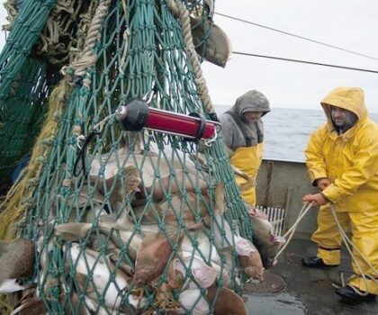 اتفاقية الصيد البحري..المغرب سيقرر على ضوء تقييم الحكومة وبتشاور مع الشركاء الأوروبيين