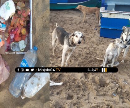 الأزبـال والكلاب الضالة تجاور الزوار بشاطئ تيفنيت