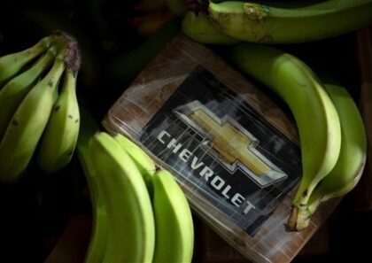 إسبانيا تعلن حجز ما يناهز 10 أطنان من الكوكايين الخالص