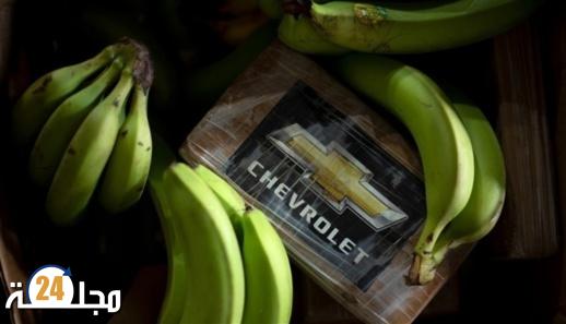 إسبانيا تعلن حجز ما يناهز 10 أطنان من الكوكايين الخالص