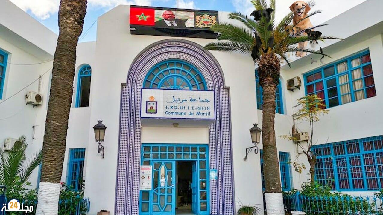 تورط موظفان بجماعة مرتيل في مخالفة تعمير