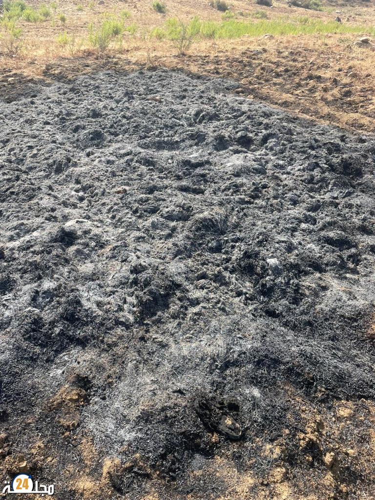 حرق محاصيل يدفع بأصحاب ضيعة بشفشاون إلى المطالبة بمعاقبة المعتدين