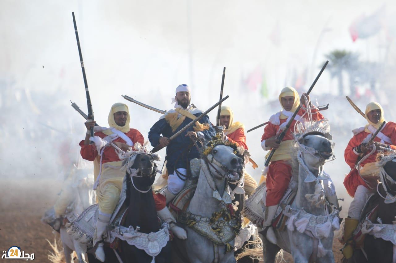115 سربة وأزيد من ألفي فرس يسجله موسم مولاي عبد الله واهتمام واسع من قبل البعثات الدبلوماسية بهذا الموروث الثقافي الأصيل