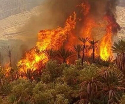 تطويق حريق غابة بنسبة 65 في المائة