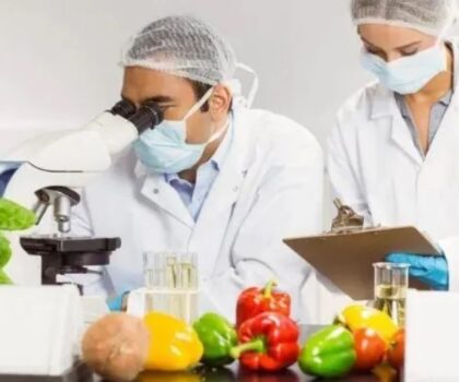 دراسة تحذر من خطر إضافات غذائية شائعة على صحة النسل!