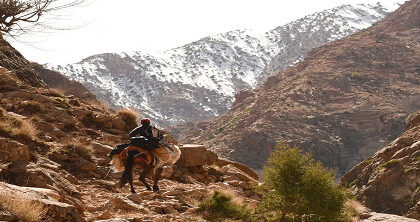 معهد الجيوفيزياء الوطني يكشف عن خطر الانهيارات المستمرة بسبب تأثيرات الزلزال