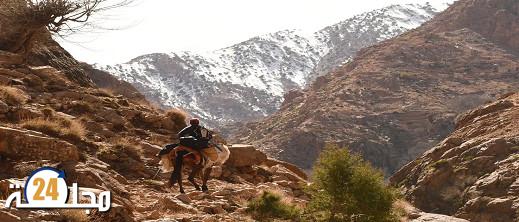 معهد الجيوفيزياء الوطني يكشف عن خطر الانهيارات المستمرة بسبب تأثيرات الزلزال