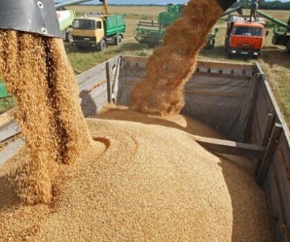 2 مليون طن من القمح في طريقها إلى المغرب