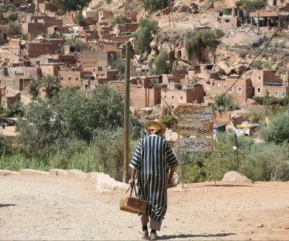 ما بعد زلزال الحوز… جرد للأضرار لتقديم الدعم للسكان وإعادة تأهيل النشاط الفلاحي