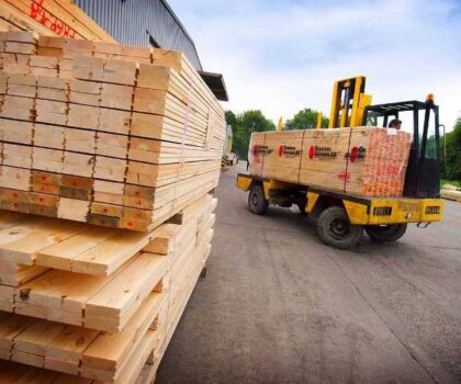 بقرار جديد.. المغرب يمنع إغراق السوق الوطنية بواردات الخشب الصيني