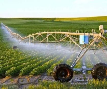 رئيس اتحاد الغرف العربية: المغرب متقدم بشكل كبير في المجال الزراعي والصناعة الغذائية