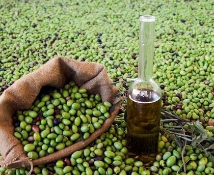 بعد نفاذها في أوروبا.. المغرب يوقف تصدير زيت الزيتون حتى لا يرتفع سعرها