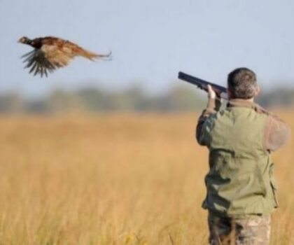 بيان لجمعية التقنيين الغابويين بالمغرب للمذكرة رقم 4160 بتاريخ 03 أكتوبر 2023 الموجهة لمدير الرأسمال البشري بالوكالة الوطنية للمياه والغابات