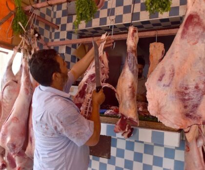 أسعار اللحوم ترتفع رغم استيراد الأبقار: التحديات والتفاؤل في السوق الوطنية