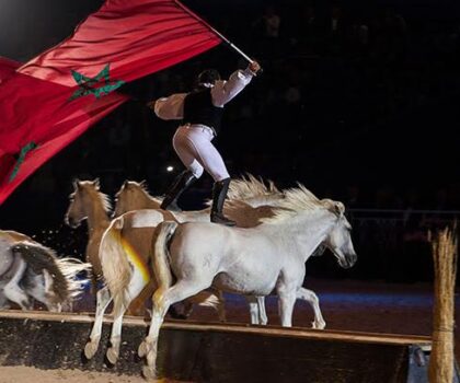 معرض الفرس يساهم في التنشيط الاقتصادي والسياحي باقليم الجديدة