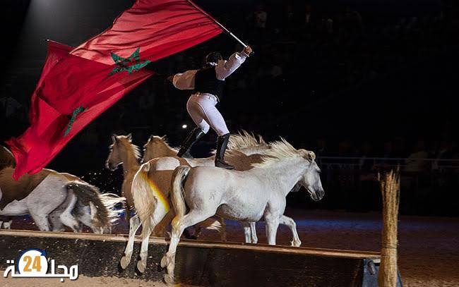 معرض الفرس يساهم في التنشيط الاقتصادي والسياحي باقليم الجديدة