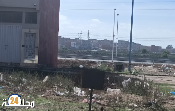 الجديدة…سكان تجزئة السبيل يشتكون من هجوم الثعابين وانعدام النظافة