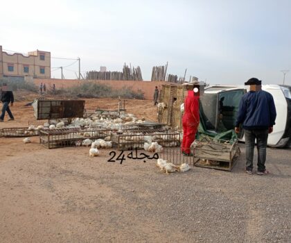 سائق بيكوب يدهس شخص باشتوكة