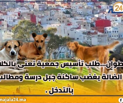 تطوان… طلب تأسيس جمعية تعنى بالكلاب الضالة يغضب ساكنة جبل درسة ومطالب بالتدخل
