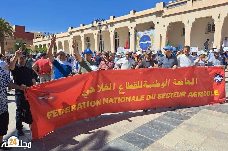 شغيلة القطاع الفلاحي في بالأقاليم الجنوبية تستنكر ممارسات المسؤولين في القطاع ضد مناضلي الجامعة الوطنية للقطاع الفلاحي