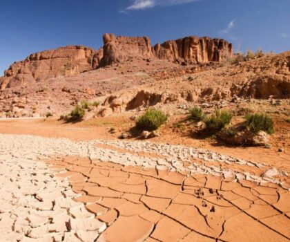 بنعلي: المغرب يولي أهمية كبيرة لإشكاليات البيئة و المناخ