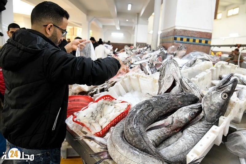 مع بداية رمضان.. ارتفاع أسعار الأسماك في مختلف الأسواق