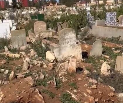 كلاب ضالة تنبش القبور بمقبرة حمو صالح ومطالبا بحمايتها