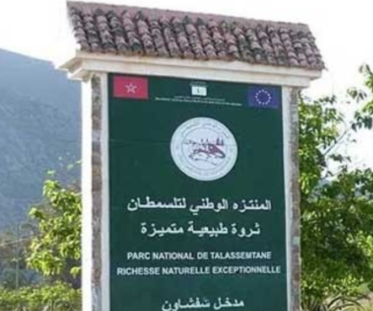 الترخيص لشركة متخصصة في استغلال المقالع داخل حدود المنتزه الوطني لتلاسمطان بشفشاون و مطالب بتدخل السلطات الوصية