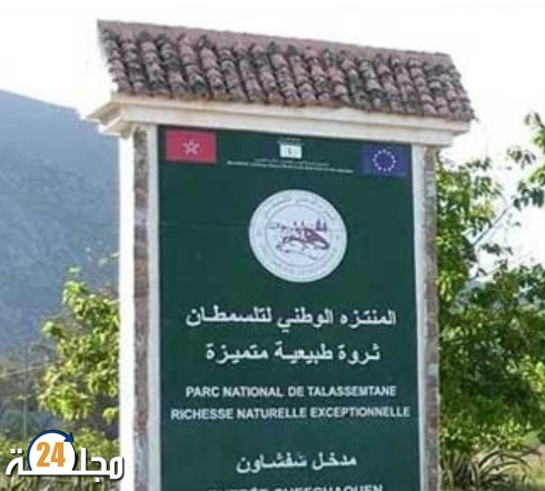الترخيص لشركة متخصصة في استغلال المقالع داخل حدود المنتزه الوطني لتلاسمطان بشفشاون و مطالب بتدخل السلطات الوصية