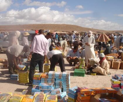اسواق زاكورة.. إحالة متورطين في عمليات الغش على المحكمة
