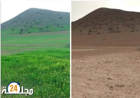 المــــــــــــاء أساس الحيــــاة