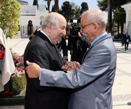 الصحراء المغربية..مصر ترد على مرتزقة البوليساريو  ونظام العسكر الجزائري