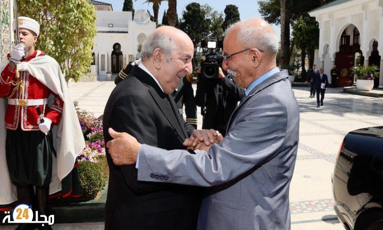 الصحراء المغربية..مصر ترد على مرتزقة البوليساريو  ونظام العسكر الجزائري