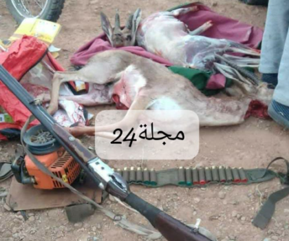 صيد الغزلان العشوائي يورط شخصين في بلفاع ضواحي اكادير