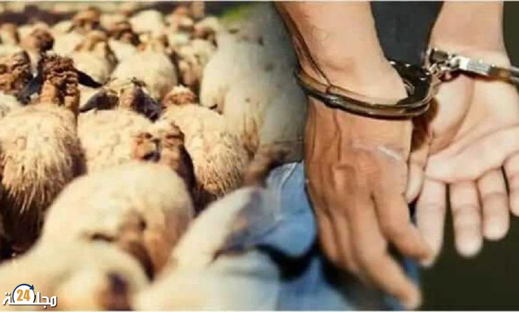الفصيلة القضائية توجه ضربة موجعة لعصابات الفراقشية بسطات