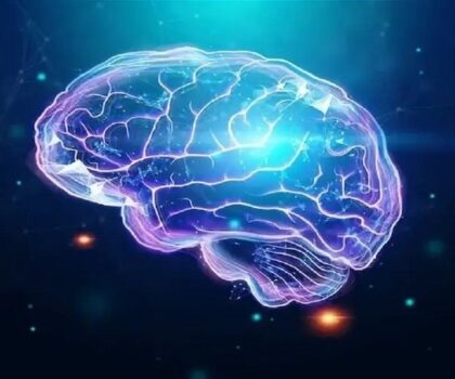 كيف يؤثر تغير المناخ على صحة الدماغ؟