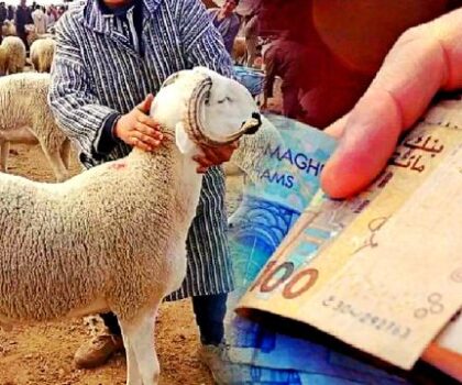 صرف منحة تضامنية لفائدة أرامل ومتقاعدي الأمن بمناسبة عيد الأضحى