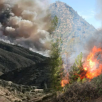 إخلاء مساكن بسبب حريق في غابة جبل بورد بتازة