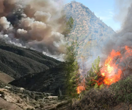 إخلاء مساكن بسبب حريق في غابة جبل بورد بتازة