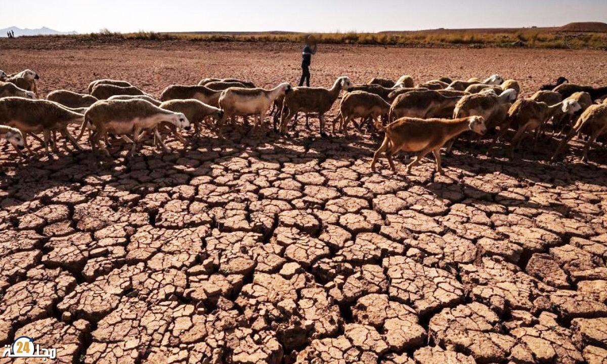 تقرير أممي يصف مستوى الجفاف في المغرب بـ”التاريخي”