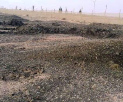 فضلات الدّواجن تهدّد سلامة سكّان برشيد.. ومطالب بالتّدخل العاجل للسلطات