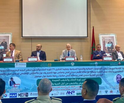 سيدي افني : ندوة علمية بمناسبة ذكرى ثورة الملك والشعب