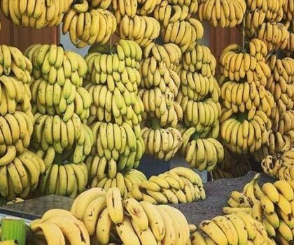 سطات..لجنة إقليمية تقرر إغلاق محل لبيع الموز خارج الضوابط القانونية و تتخذ إجراءات صارمة في حق صاحبه