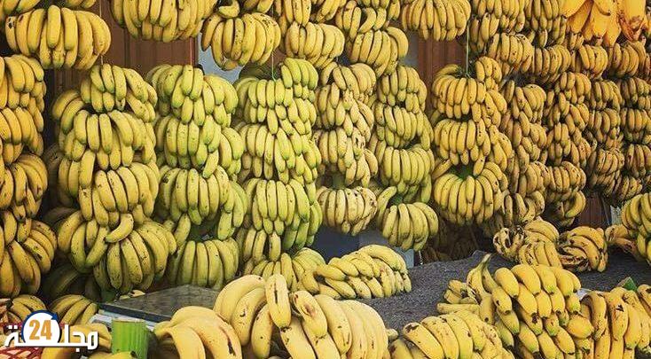 سطات..لجنة إقليمية تقرر إغلاق محل لبيع الموز خارج الضوابط القانونية و تتخذ إجراءات صارمة في حق صاحبه