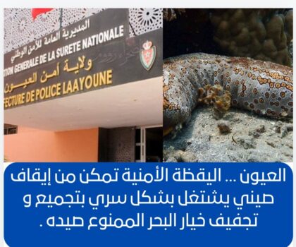 العيون … اليقظة الأمنية تمكن من إيقاف صيني يشتغل بشكل سري بتجميع و تجفيف خيار البحر الممنوع صيده .